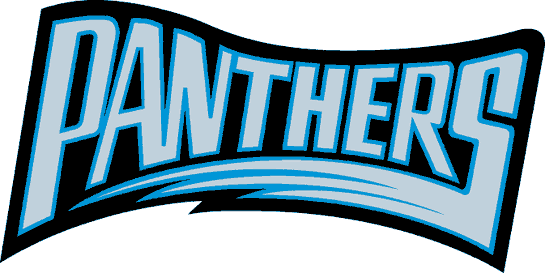 Carolina Panthers 1995 Wordmark Logo fabric transfer